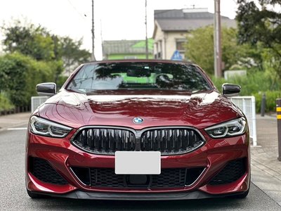 2019 BMW 8 SERIES CABRIOLET photo 39
