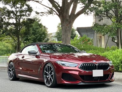 2019 BMW 8 SERIES CABRIOLET photo 25