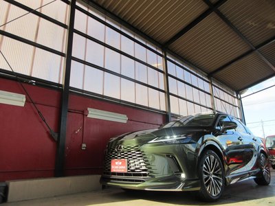 2025 Lexus RX thumbnail 28