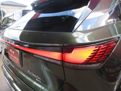 2025 Lexus RX thumbnail 33