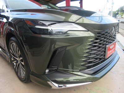 2025 Lexus RX photo 15