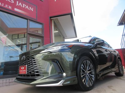 2025 Lexus RX thumbnail 29