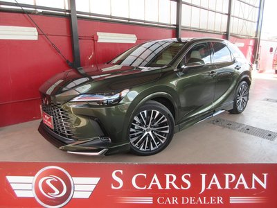 2025 Lexus RX photo 1