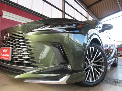 2025 Lexus RX thumbnail 25