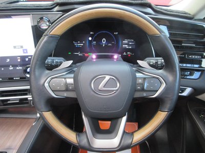 2025 Lexus RX thumbnail 52