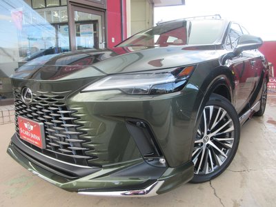 2025 Lexus RX photo 8