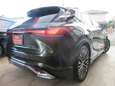 2025 Lexus RX photo 7