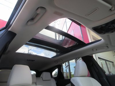 2025 Lexus RX thumbnail 60
