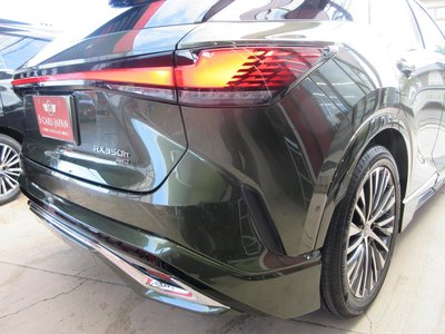 2025 Lexus RX thumbnail 19