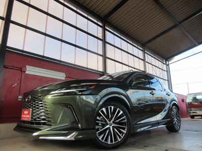 2025 Lexus RX thumbnail 26