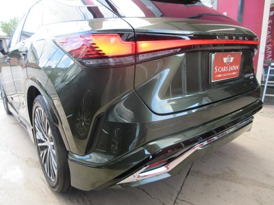 2025 Lexus RX thumbnail 20