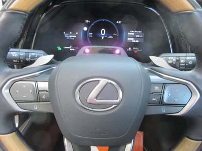2025 Lexus RX thumbnail 55