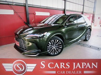 2025 Lexus RX photo 2