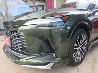 2025 Lexus RX photo 14