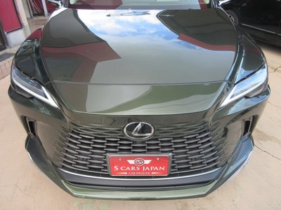2025 Lexus RX photo 11