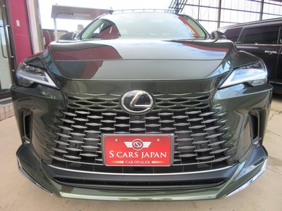 2025 Lexus RX photo 9