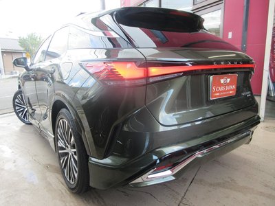 2025 Lexus RX photo 6