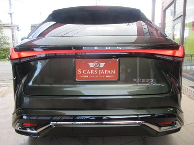 2025 Lexus RX photo 10