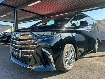 2025 Toyota ALPHARD 照片 19
