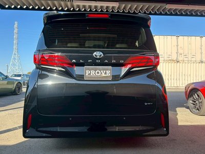 2025 Toyota ALPHARD 照片 30
