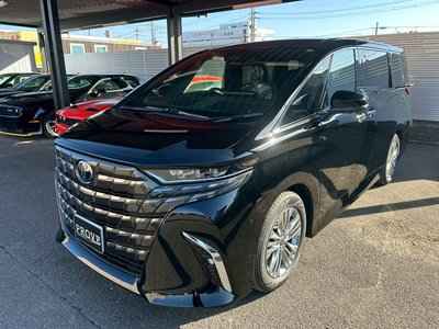2025 Toyota ALPHARD 照片 22