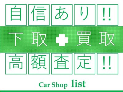 2026 Toyota LAND CRUISER 250 — фото 25
