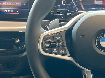 2025 BMW 4 SERIES GRAN COUPE thumbnail 31