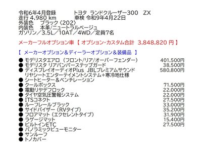 2024 Toyota LAND CRUISER 300 photo 3