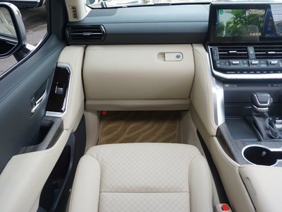 2024 Toyota LAND CRUISER 300 thumbnail 19
