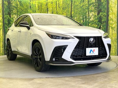 صورة مصغرة 16 لـ 2023 Lexus NX