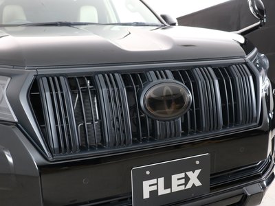 2025 Toyota LAND CRUISER PRADO thumbnail 29