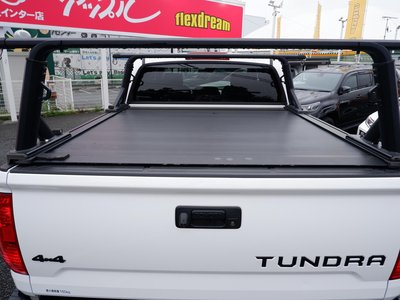 2018 Toyota TUNDRA thumbnail 20