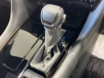 2024 Toyota ALPHARD 缩略图 68