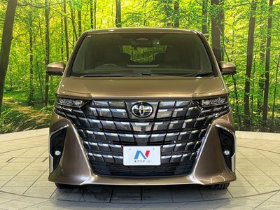 2024 Toyota ALPHARD 缩略图 14