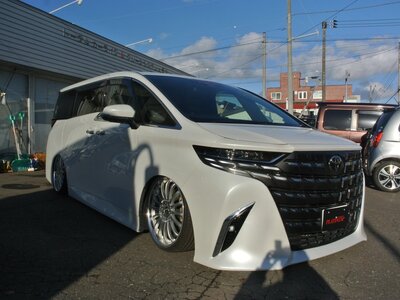 2023 Toyota ALPHARD 照片 5