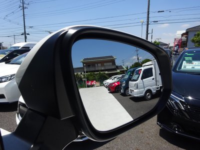 2024 Toyota ALPHARD 照片 18