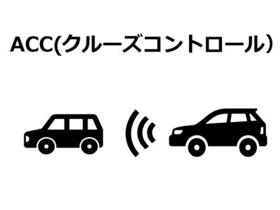 2021 Nissan SKYLINE 缩略图 51