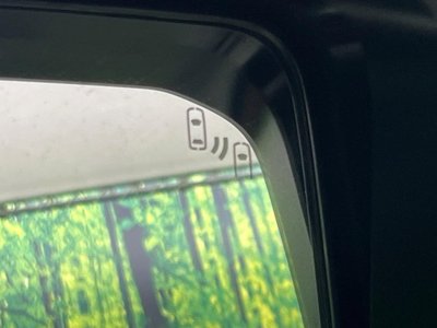 2024 Toyota LAND CRUISER 250 thumbnail 44