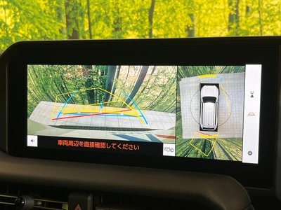 2024 Toyota LAND CRUISER 250 photo 5