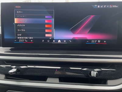 2023 BMW X7 thumbnail 37