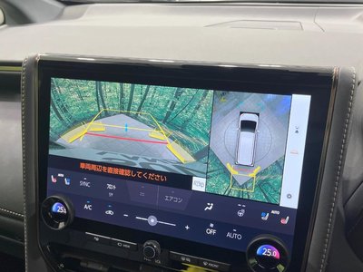 2024 Toyota VELLFIRE 照片 6