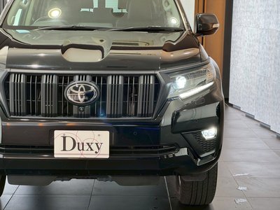 2023 Toyota LAND CRUISER PRADO 照片 22