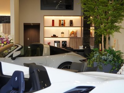 2014 Ferrari 458 SPIDER 缩略图 71