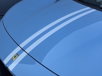 2024 Ferrari PUROSANGUE — фото 16