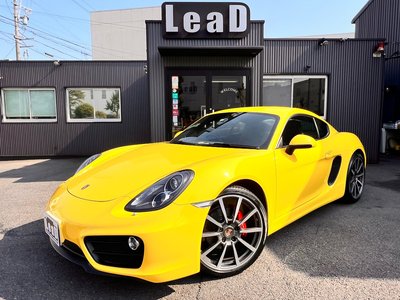 2013 Porsche CAYMAN 缩略图 44