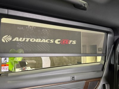 2026 Toyota ALPHARD — фото 47