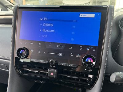 2025 Toyota ALPHARD — фото 19