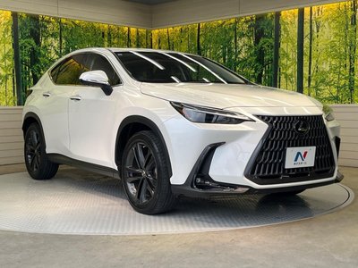 2023 Lexus NX photo 16