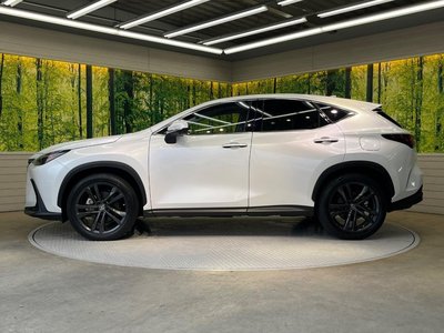 2023 Lexus NX thumbnail 25