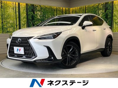 2023 Lexus NX photo 1